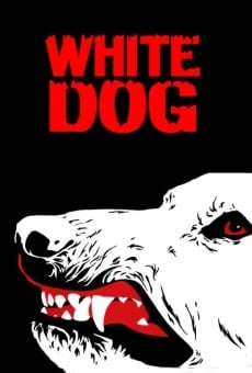 White Dog