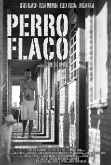 Perro flaco streaming en ligne gratuit