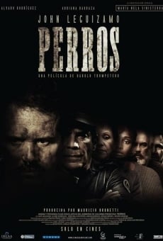 Perros online streaming