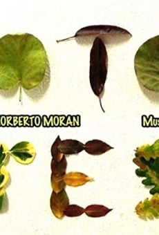 Photosynthesis Online Free