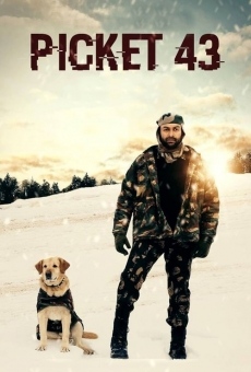 Ver película Picket 43