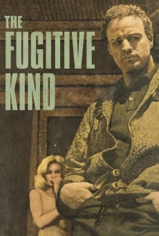 The Fugitive Kind stream online deutsch