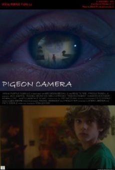 Watch Pigeon Camera online stream