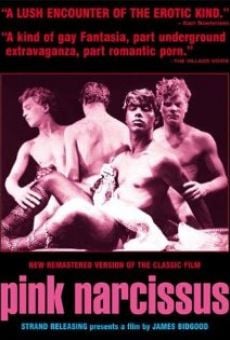 Pink Narcissus en ligne gratuit