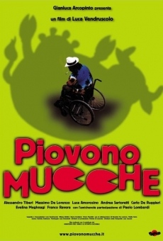 Piovono mucche