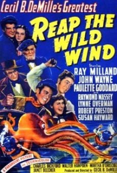 Reap the Wild Wind stream online deutsch