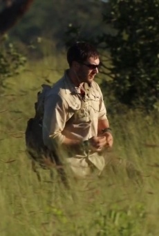 Poaching Wars online free