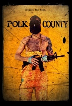 Polk County online