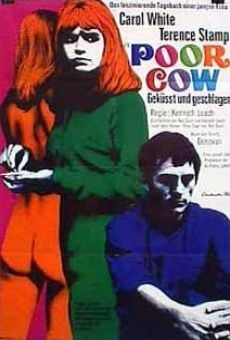 Poor Cow on-line gratuito
