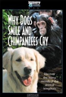 Ver película ¿Por qué los perros sonríen y los chimpancés lloran?