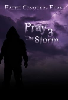 Pray 3D: The Storm streaming en ligne gratuit