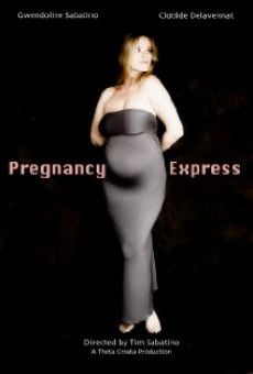 Watch Pregnancy Express online stream