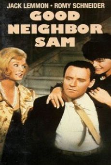 Good Neighbor Sam stream online deutsch