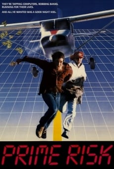 Prime Risk online streaming