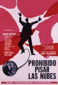 Ver película Prohibido pisar las nubes