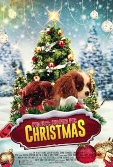 Ver película Proyecto: Cachorros para Navidad