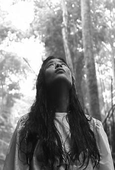 Prologo sa ang dakilang Desaparecido (Prologue to The Great Desaparecido) online streaming