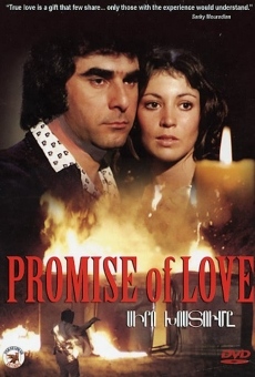Ver película Promesa de amor