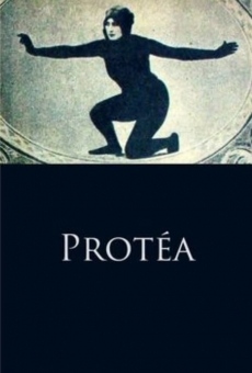 Ver película Protéa