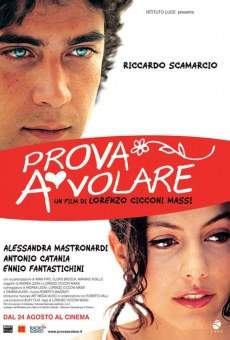 Prova a volare on-line gratuito