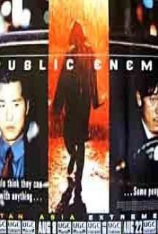 Película: Public Enemy