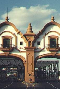 Puente Alsina