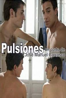 Pulsiones