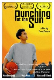 Punching at the Sun (2006)