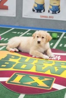 Ver película Puppy Bowl IX