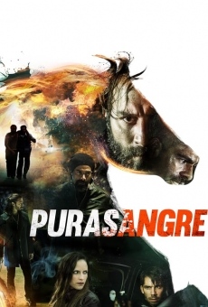 Purasangre streaming en ligne gratuit