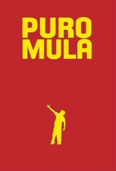 Puro mula