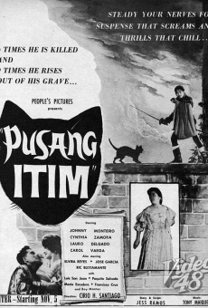 Pusang itim (1958)