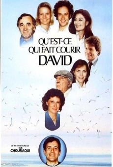 Qu'est-ce qui fait courir David? online kostenlos