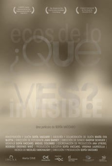 ¿Qué ves?: ecos de lo inVISIBLE