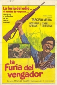 Ver película La furia del vengador