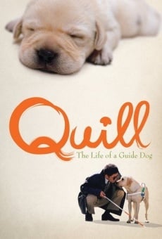 Ver película Quill