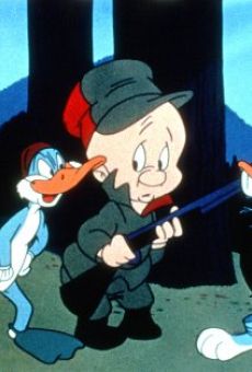Looney Tunes: Rabbit Fire online streaming