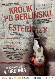 Ver película Rabbit à la Berlin