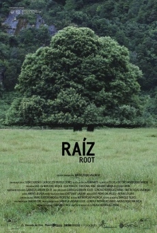 Raiz on-line gratuito