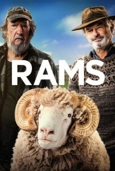 Ver película Rams