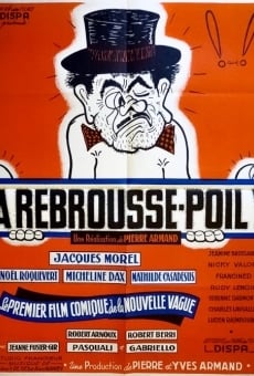 À rebrousse-poil online