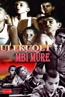 Lulekuqet mbi mure online