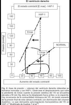 Regístrese, Comuníquese y Archívese (2009)