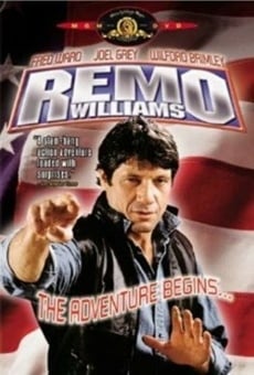 Remo Williams: The Adventure Begins