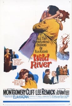 Wild River on-line gratuito