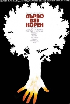 Ver película Rootless Tree