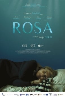 Rosa on-line gratuito