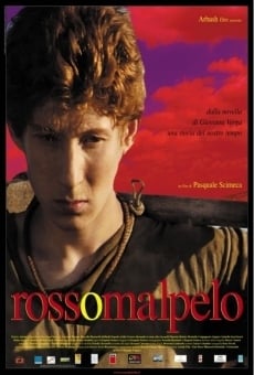 Rosso Malpelo online