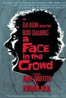 Watch A Face in the Crowd online stream