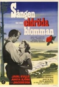 Sången om den eldröda blomman streaming en ligne gratuit